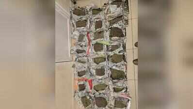 Air passenger carrying hydroponic ganja arrested