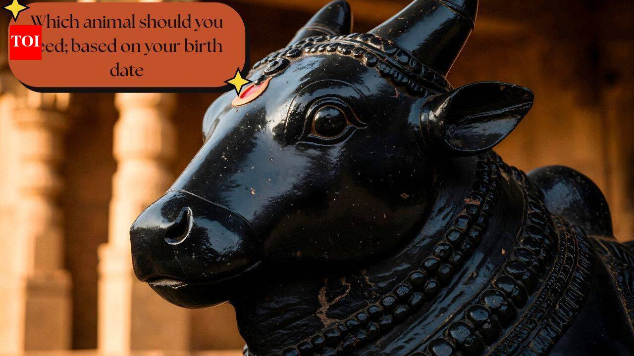 जन्म तिथि के अनुसार किसे खिलाएं भोजन? जानिए क्या कहता है आपका अंक ज्योतिष