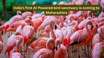 India's first AI-Powered bird sanctuary is coming to Maharashtra; here's what travellers can expect