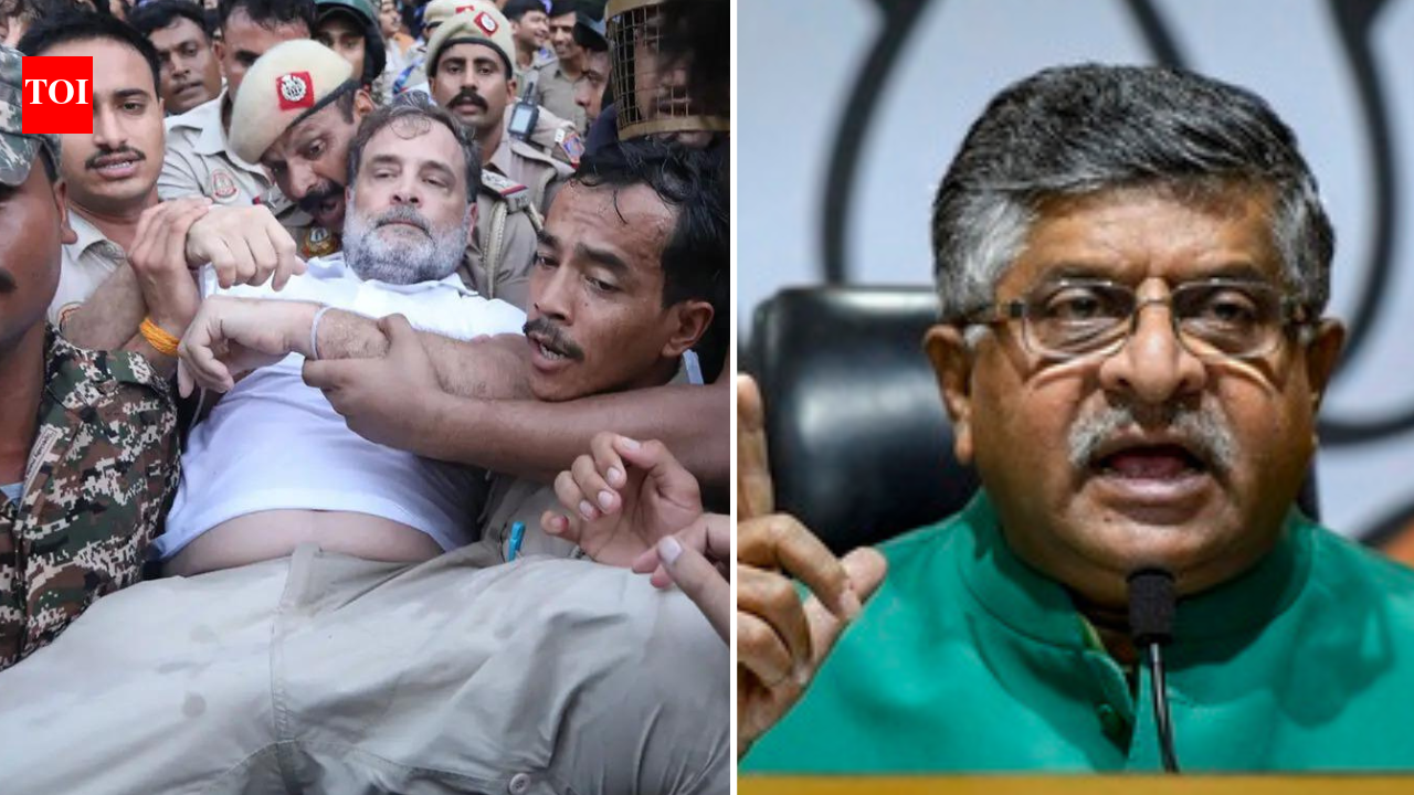 'Does India run on your arrogance?' BJP tears into Rahul Gandhi over PM residence march