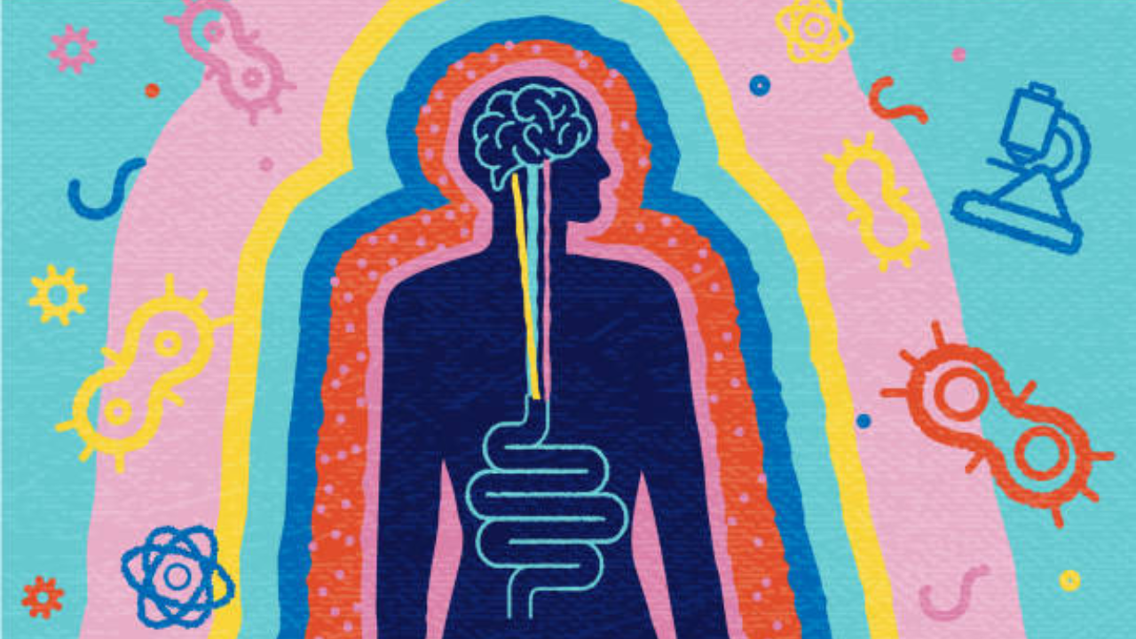 Your second brain is in your gut: This World Brain Day, neurologist explains the hidden connection