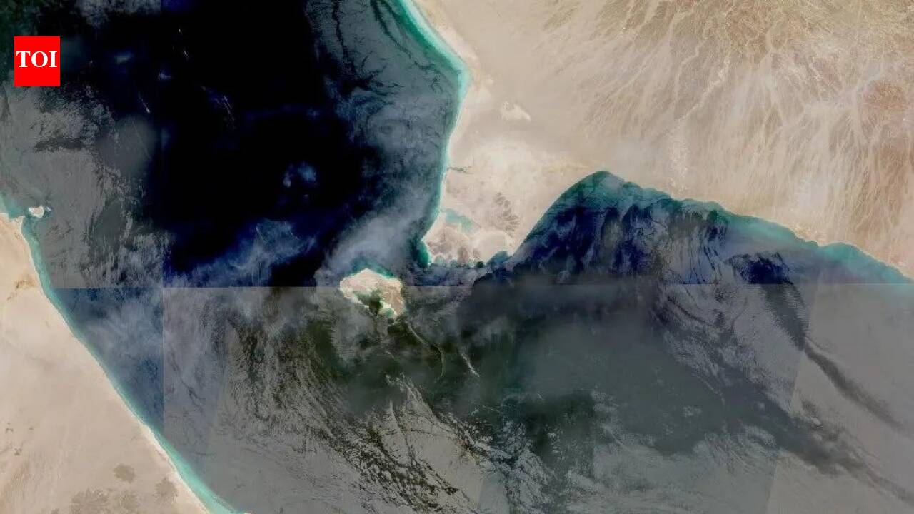 New worry for oil market: Tankers carrying Saudi crude for India, China make a U-turn in Red Sea on Houth