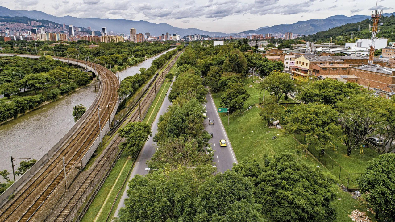Colombia planted 880,000 trees across the streets of one city to tackle rising temperatures, and the plantation delivered localised cooling of up to 5°C in shaded areas