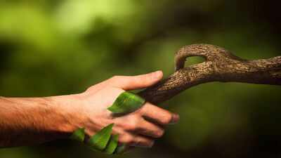 Chaturmas: A Sacred Pause For Earth