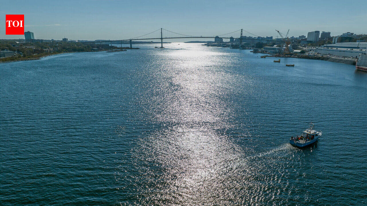 In 2023, Canadian firm Planetary released 280 tonnes of an antacid-like mineral into Halifax Harbour over two months to test whether more alkaline seawater can absorb extra CO₂