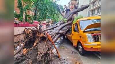 500 people join MNS protest over fatal Chembur tree crash