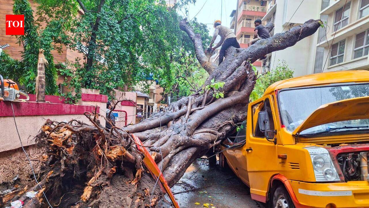 500 people join MNS protest over fatal Chembur tree crash