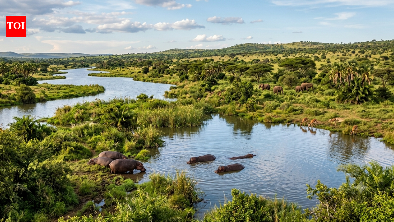 The Sahara Desert was once filled with rivers, giant lakes and hippos. Scientists explain why it turns green every 20,000 years
