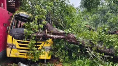 1 child dead, 2 injured after massive tree falls on school bus in Karnataka’s Dakshina Kannada