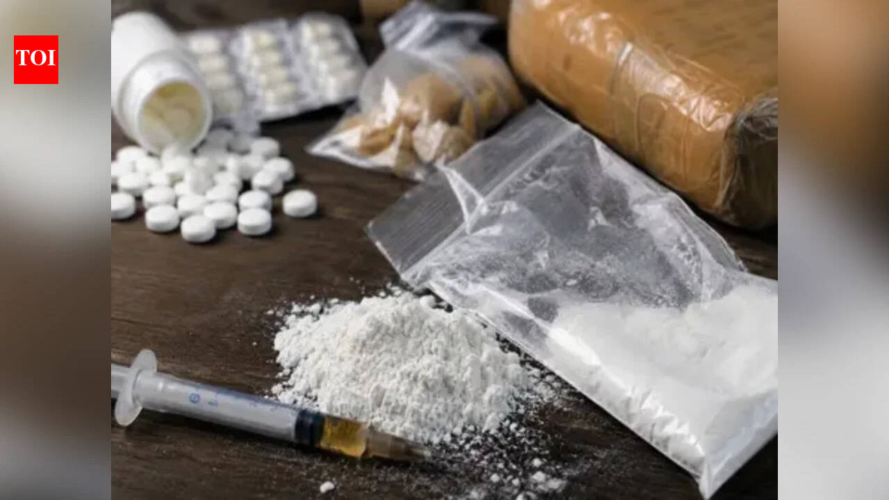 Drone-assisted cross-border drug smuggling surges since 2021, Punjab worst hit: Government