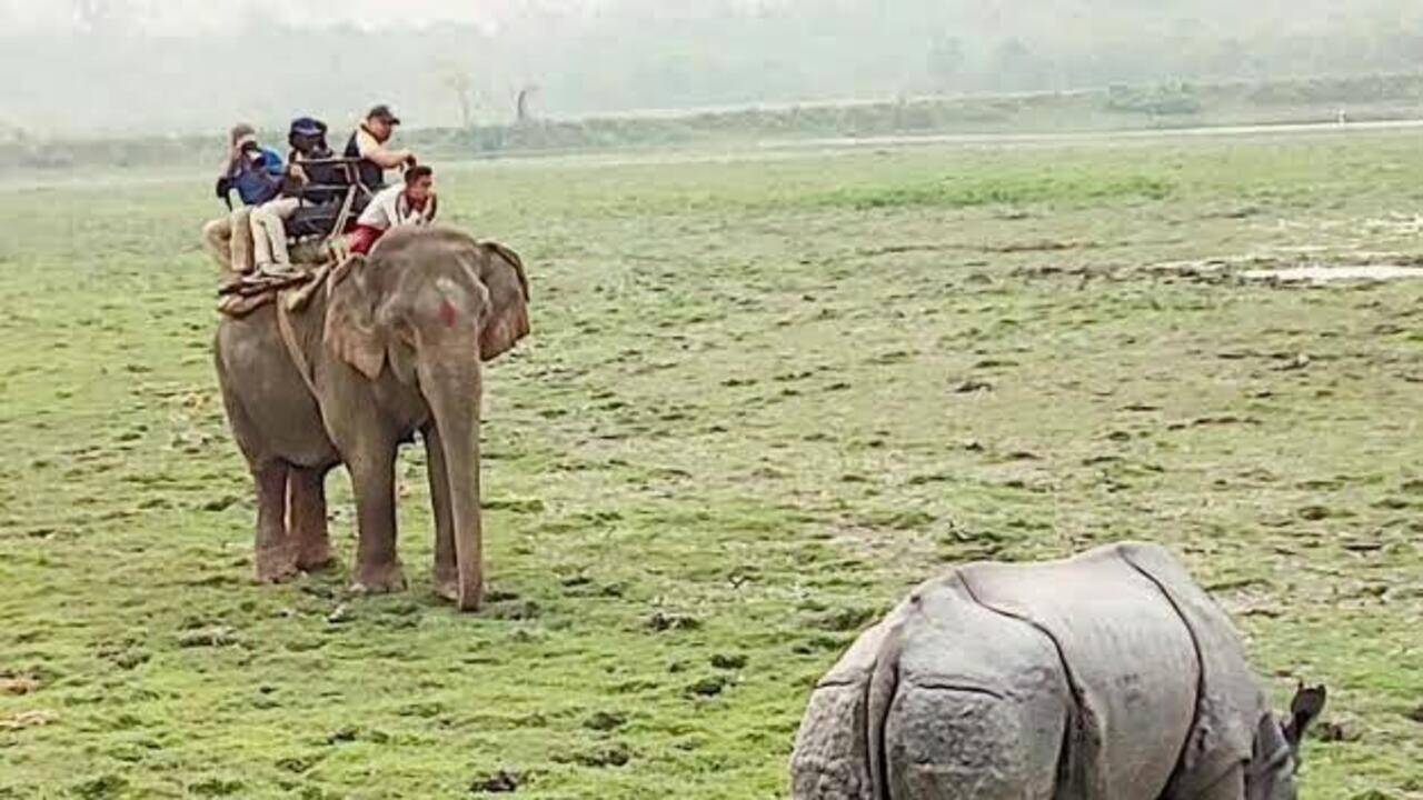 UP seeks 7 trained elephants from Karnataka for Dudhwa patrol
