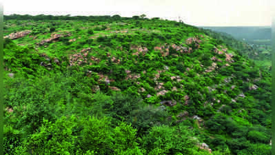 Drones strengthen forest surveillance in Telangana, offer a new edge against environmental crimes
