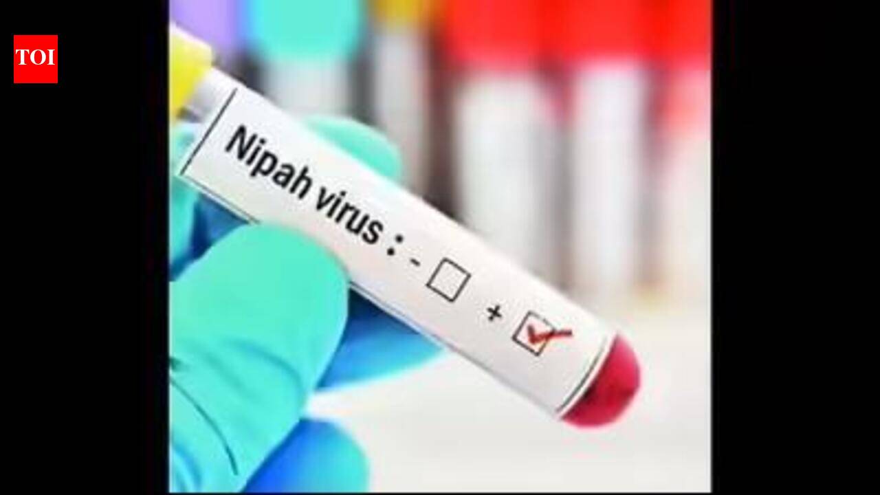 Nipah surveillance lifted in Ramanattukara