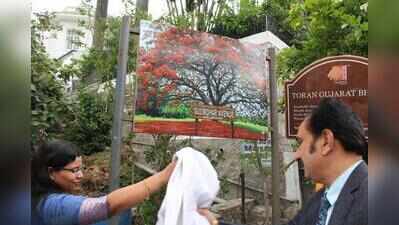 Gulmohar Avenue: When a road blooms into an identity