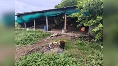 Leopard kills five-year-old girl sleeping with family in Shirur