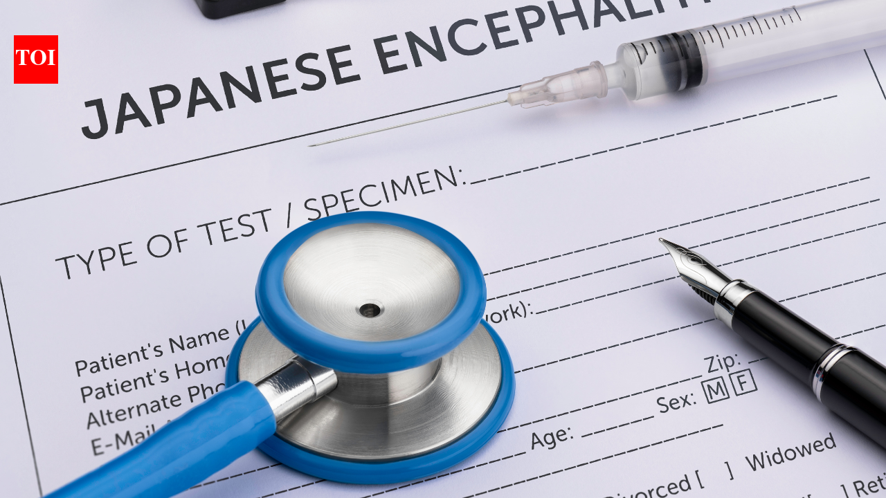 Can mosquito bites affect your brain? Neurologist explains how Japanese Encephalitis can silently attack the brain during monsoon