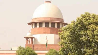 SC seeks Speaker response to UBT plea against MPs' merger with Sena