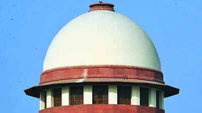 SC to examine plea to ease green-cracker ban
