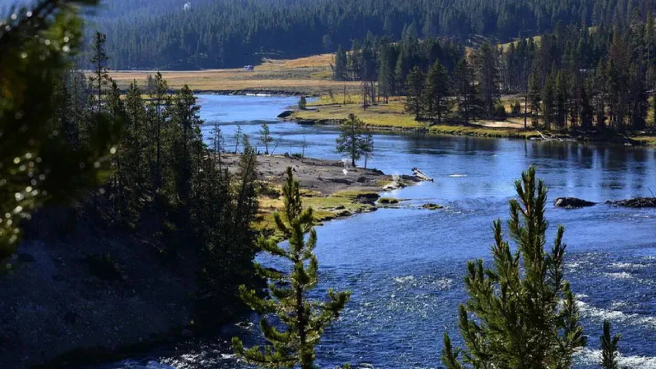 In 1872, the creation of the World's First National Park in the US inspired generations to protect forests, wildlife, and natural landscapes