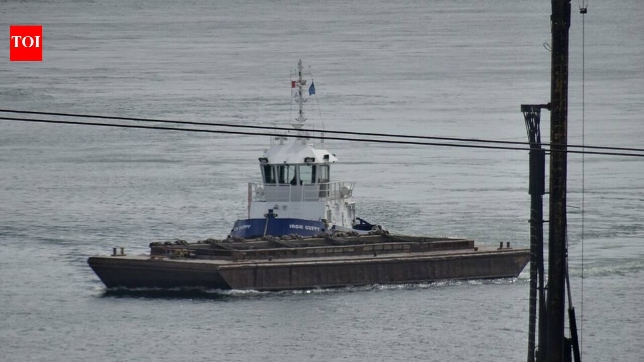 In 2012, a group released nearly 100 tonnes of iron sulphate into the Pacific off Canada, triggering an unauthorised ocean-fertilisation experiment visible from space