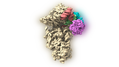 IISc Scientist Decode Virus Hijack Mechanism