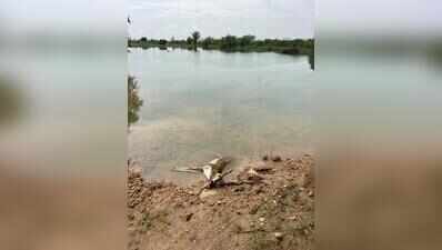“Can’t Poison Citizens”: SC makes Raj CS personally responsible to rein in pollution in Jojari, Bandi rivers