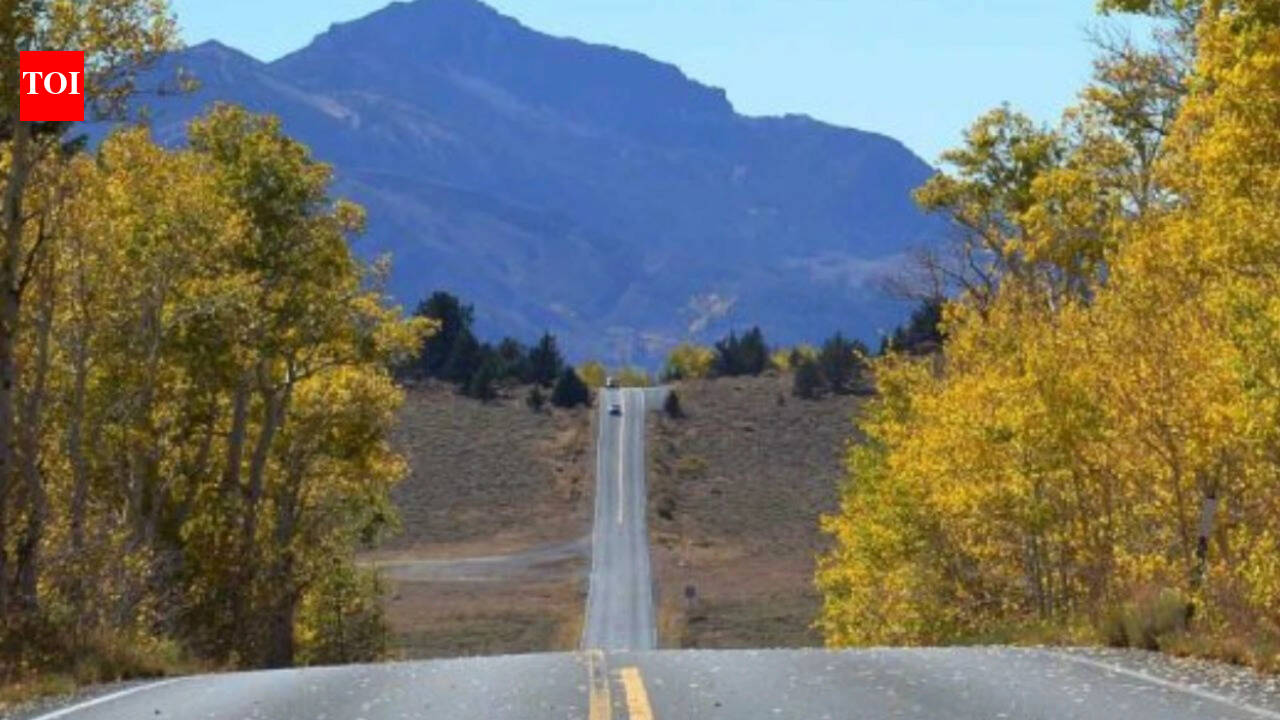 California to spend $36.4 mn repairing historic Ebbetts Pass where highway climbs 8000 feet