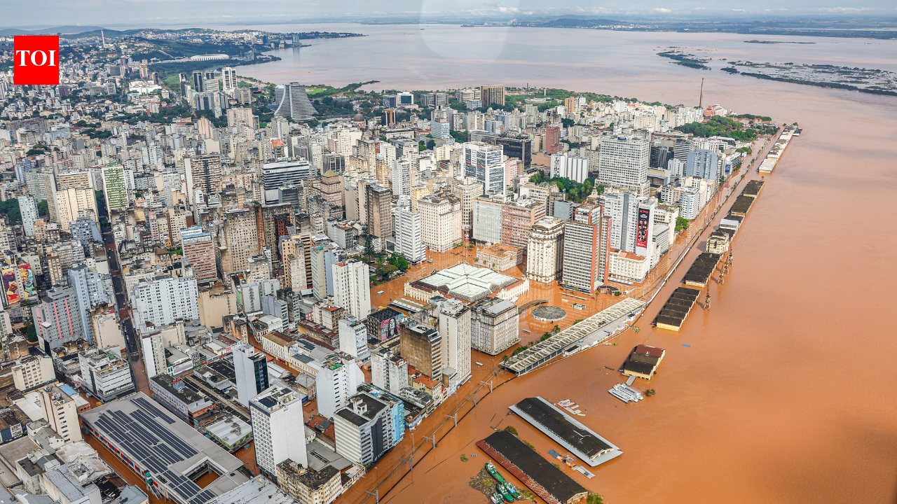 After Brazil’s worst flood on record, scientists found that natural vegetation shrank by 25% and fragmented across Rio Grande do Sul