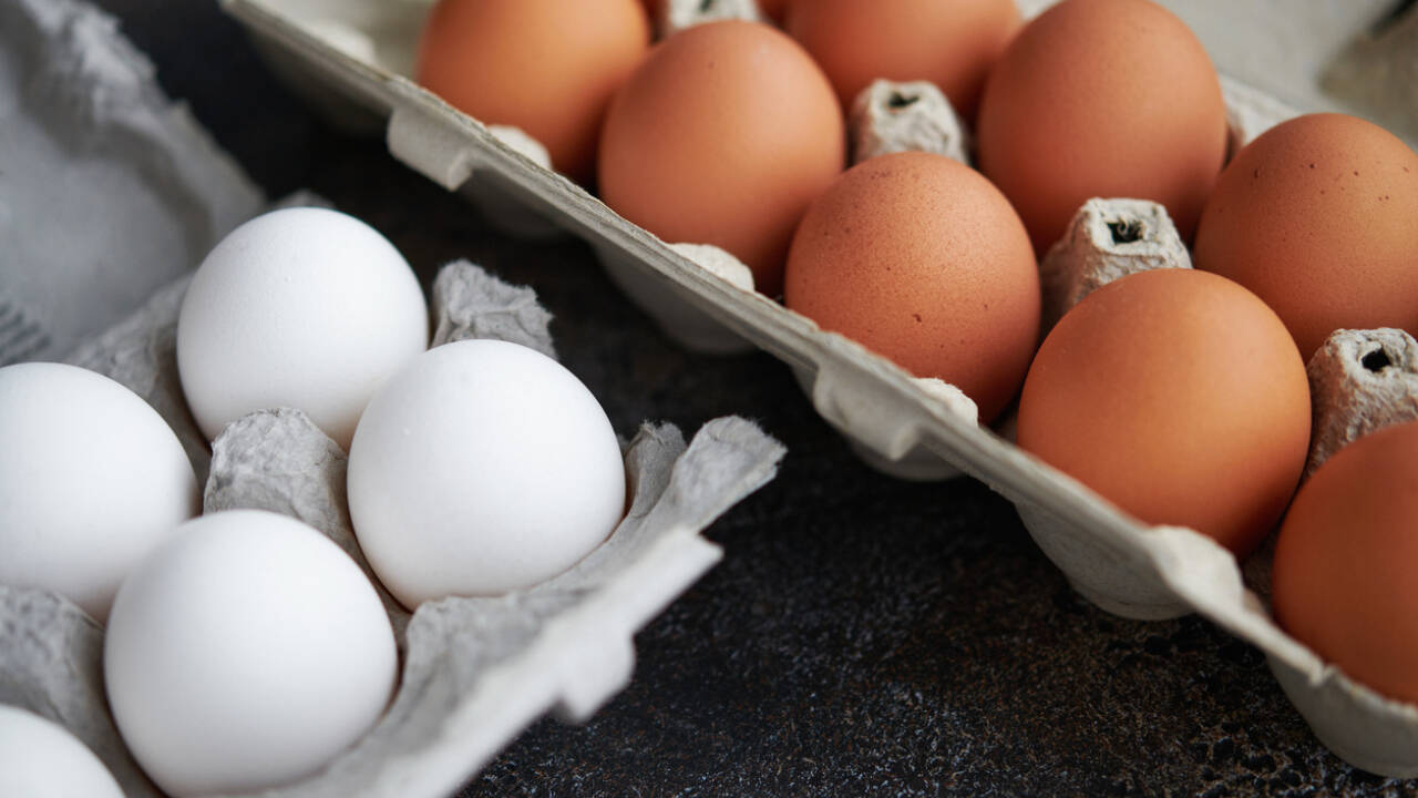 FDA recalls 1.6 million dozen eggs over Salmonella risk across five US states