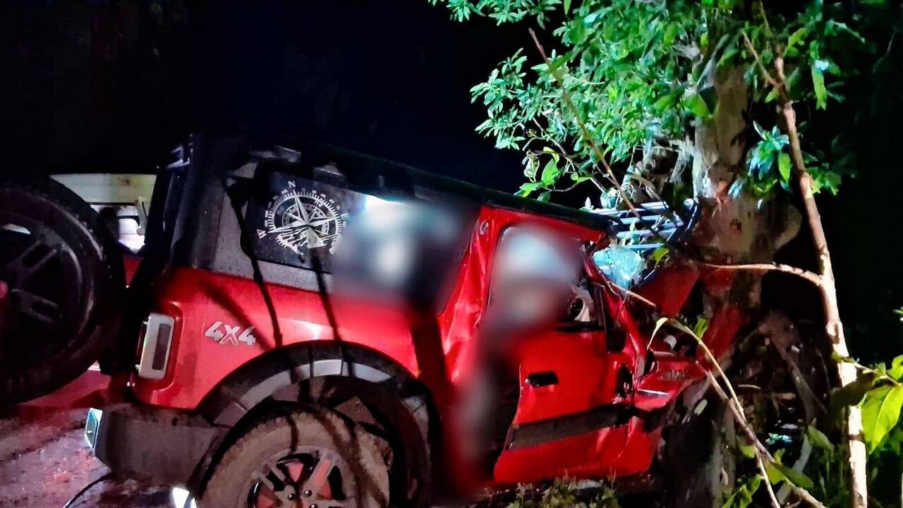 Rushing ill member to hospital, 3 of family die in accident