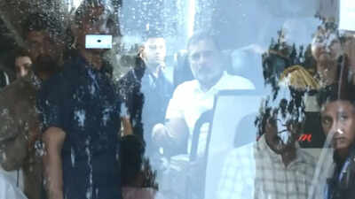 'We are with you': Rahul Gandhi says INDIA bloc stopped during march in support of protesting students