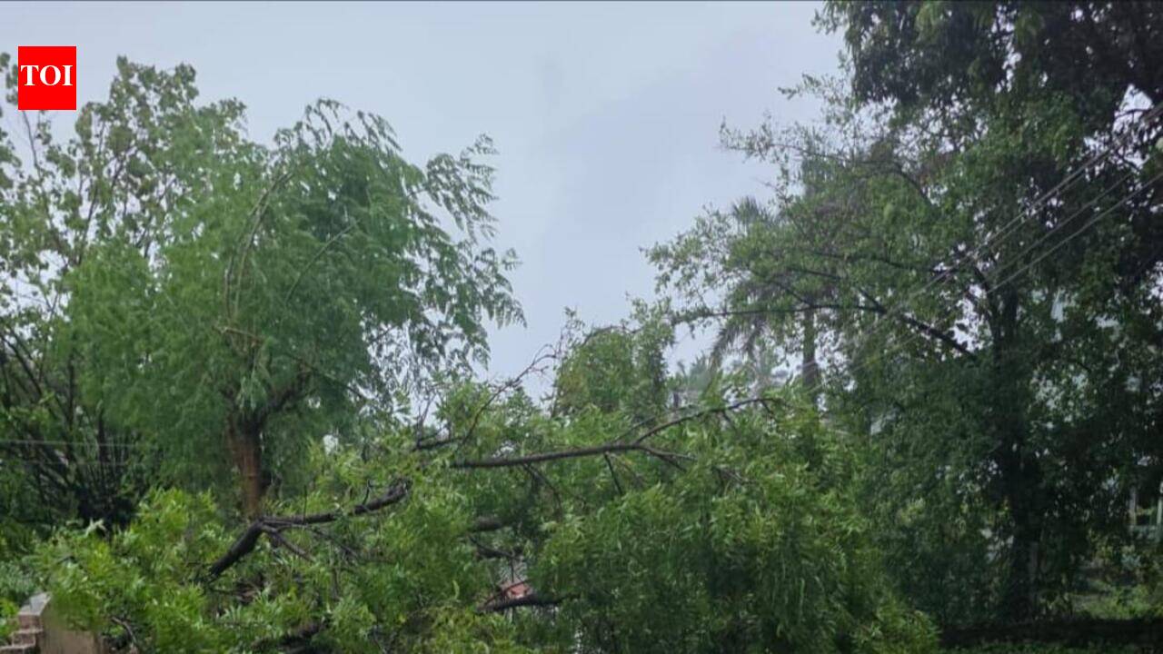 Rain batters Palghar; over 200 villages cut off, one dead, 891 people evacuated