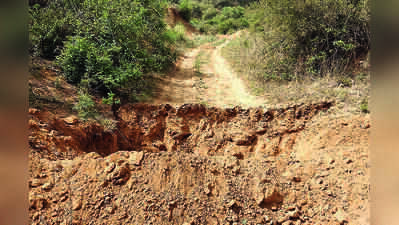 NGT pulls up Jharkhand pollution board over delay in penalising illegal sand miners in Garhwa