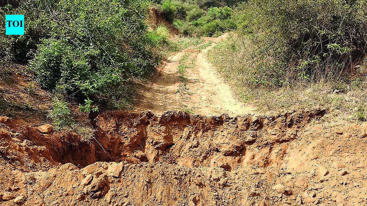 NGT pulls up Jharkhand pollution board over delay in penalising illegal sand miners in Garhwa
