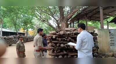 Red sanders weighing 1.78 tonnes stolen from Tiruppattur forest godown