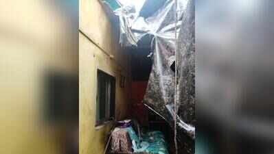Contract worker killed while clearing fallen tree in Maharashtra