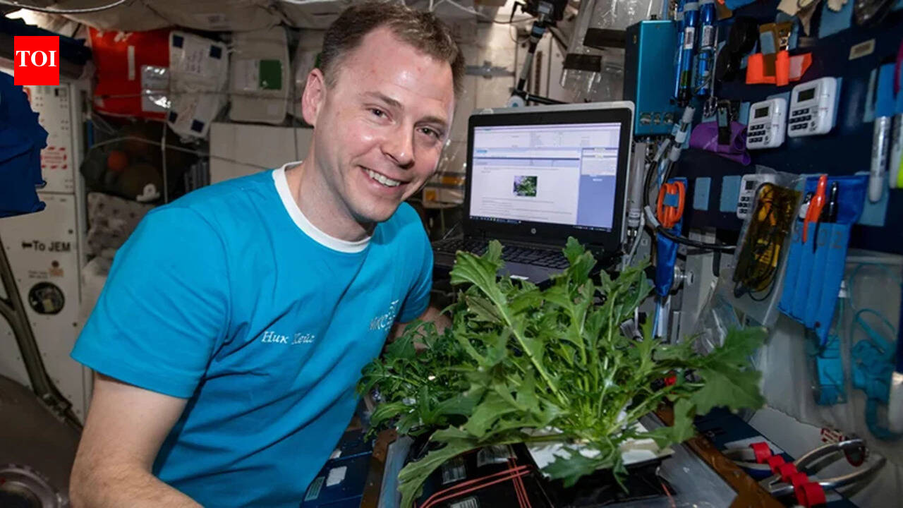Astronauts may grow Medicines: UC San Diego tests space pharma