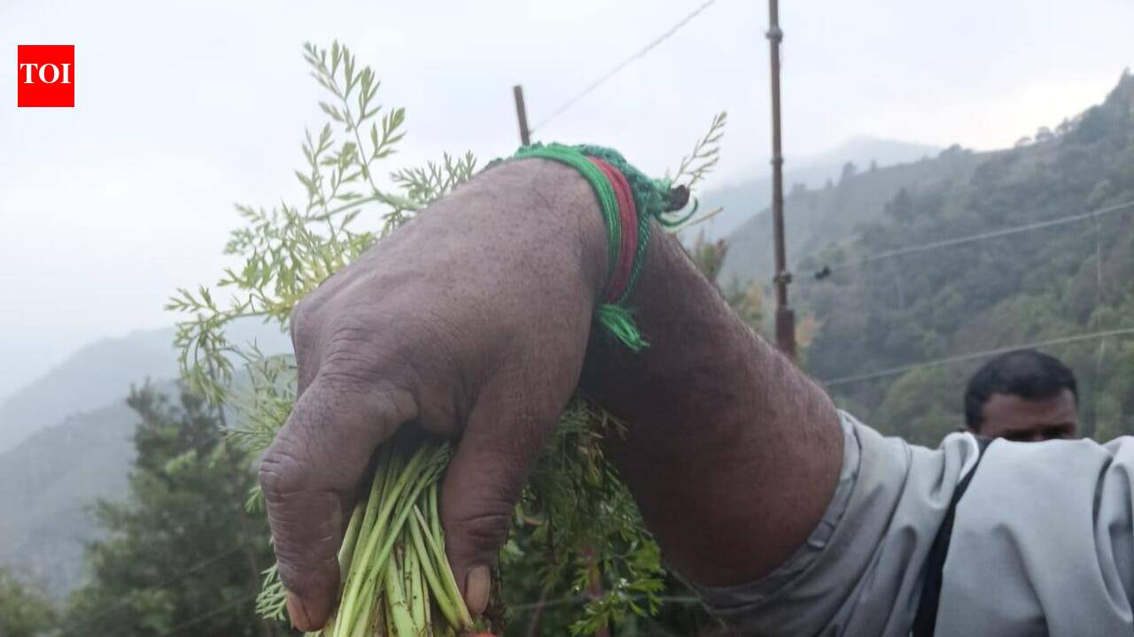 Nilgiris Organic Farming Drive Stalls as Certification Falls Short