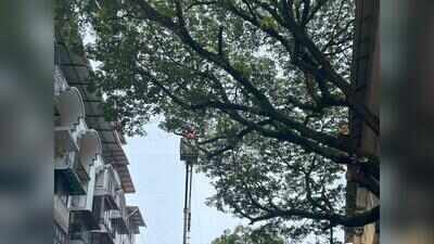 Credai plans to bring ‘1 home, 30 trees’ mission to state