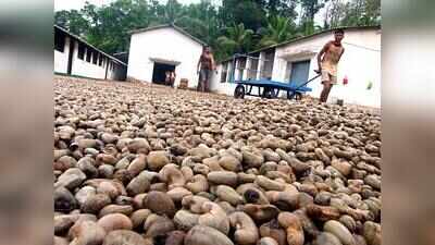 Amritkal agri policy: Experts flag community farming, cold storage, extension, as focus areas