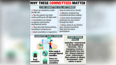MC yet to form 12 key panels, decision-making stays centralised