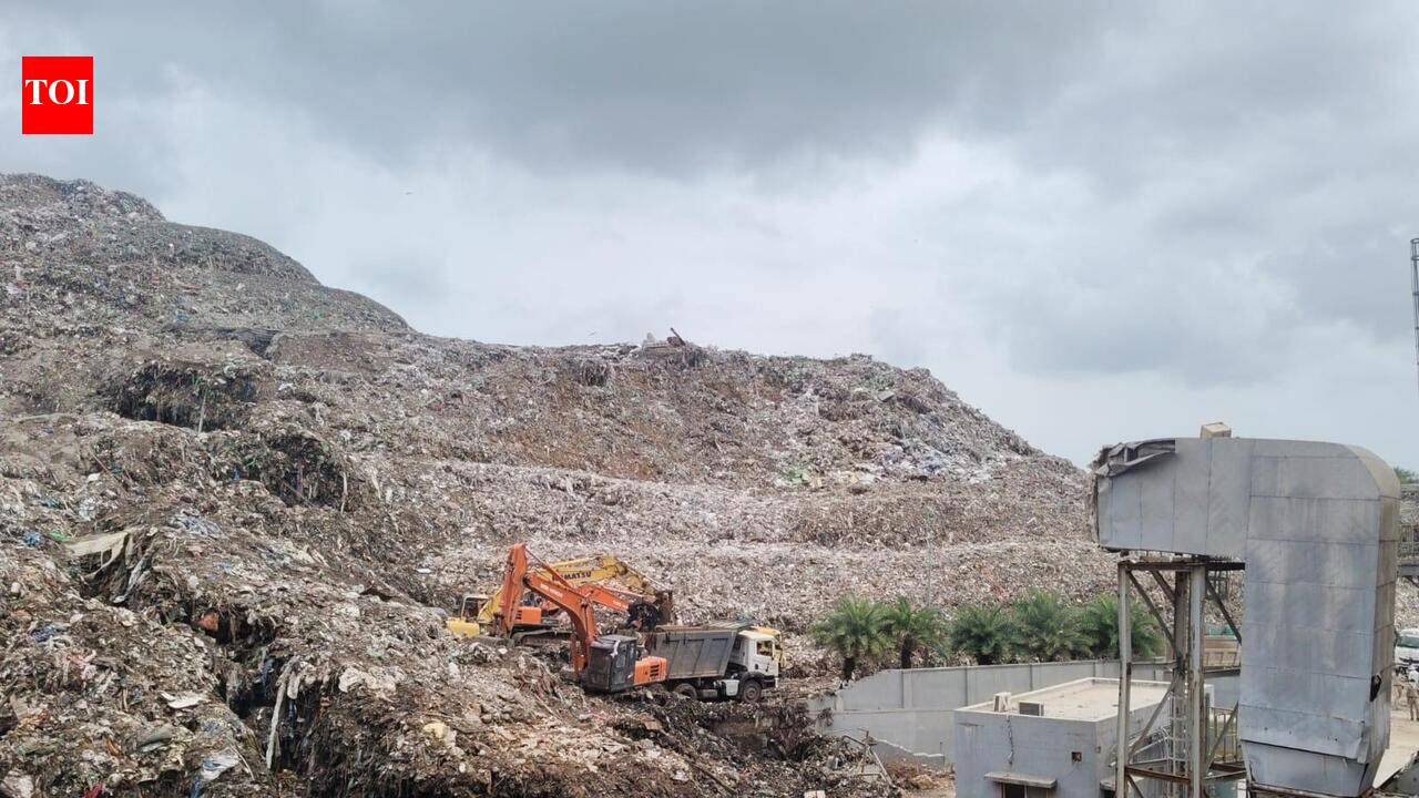 Joint panel to probe Moshi waste depot tragedy, submit report to NGT in a month