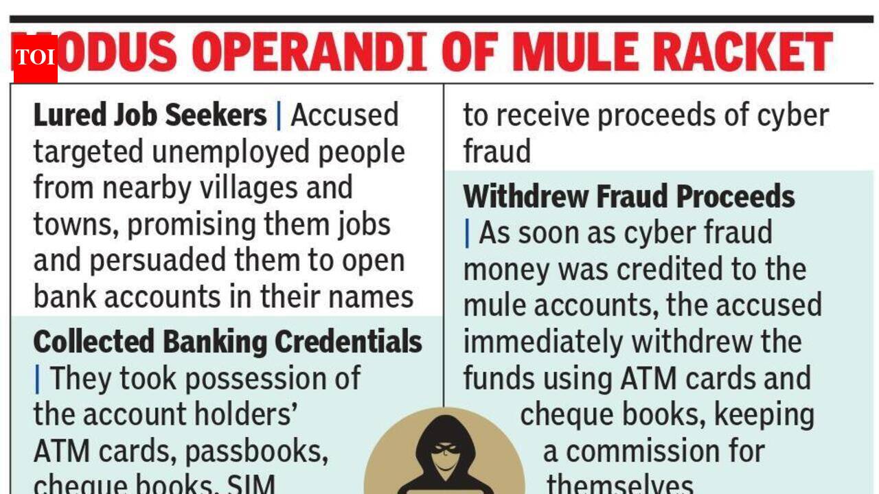 Lucknow Police bust cyber mule network; 3 held, ₹5 lakh frozen