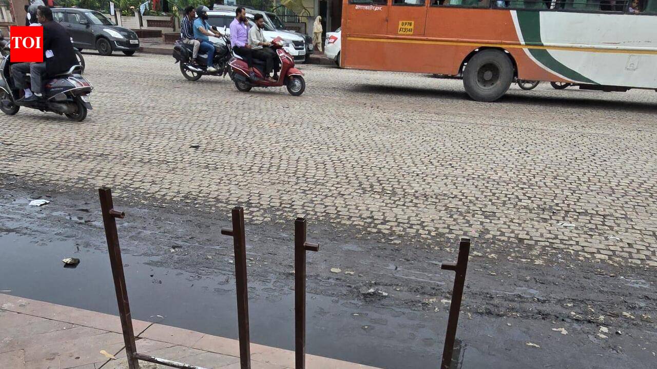 No dustbins, cleanliness trashed in heritage zone