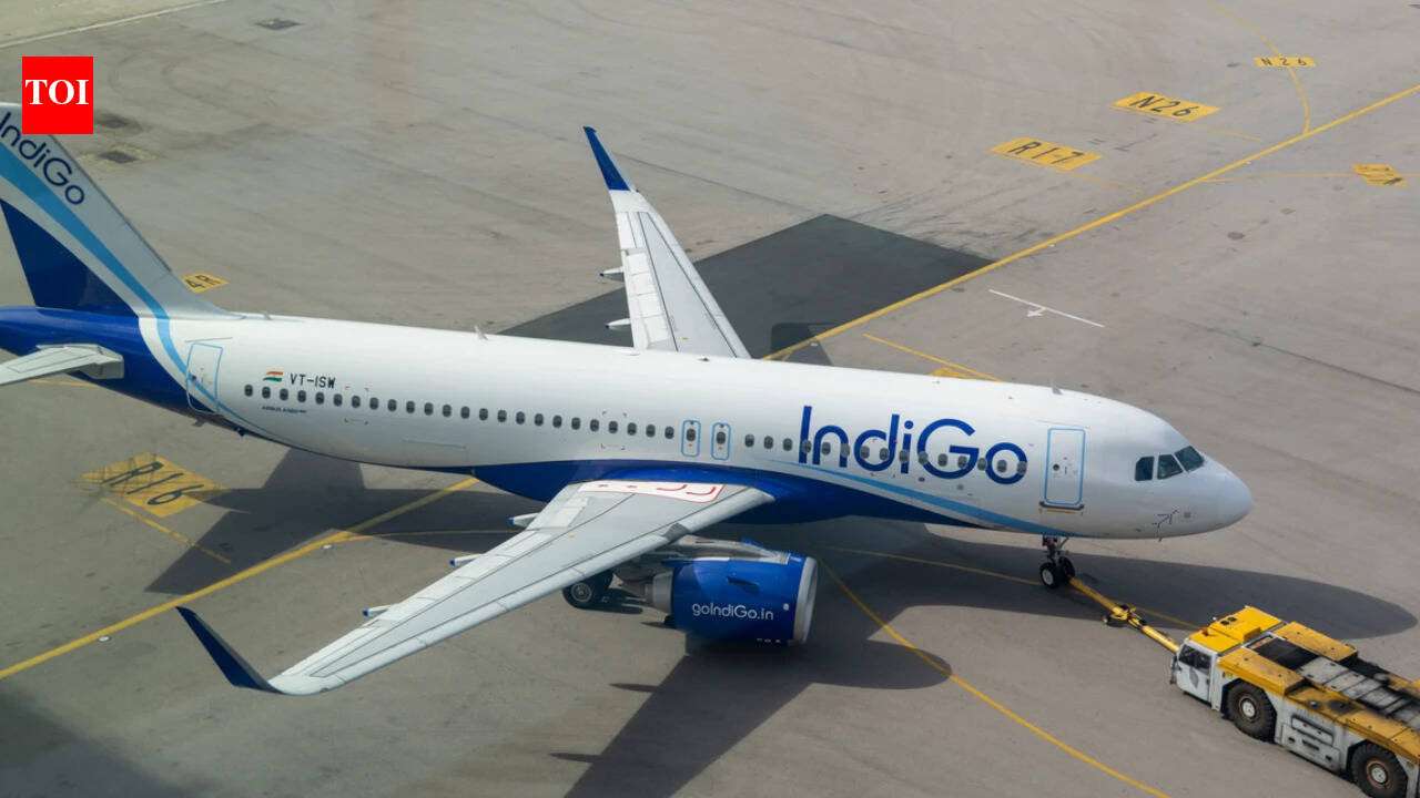 IndiGo opposes more say for airport operators in airlines