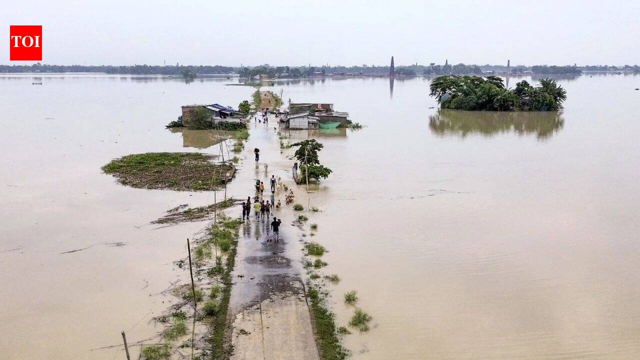 Assam flood fury: Death toll rises to 47 as over 6.53 lakh people affected across 11 districts