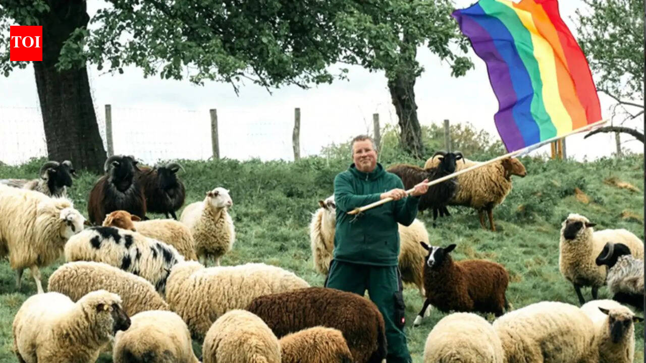 Meet Michael Stucke: German farmer who saves 'gay' sheep from slaughter and uses proceeds to help people flee homophobic persecution