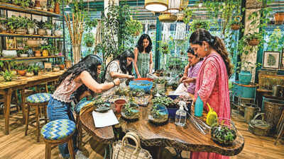 Log out, leaf in: Plant a little peace, one terrarium at a time