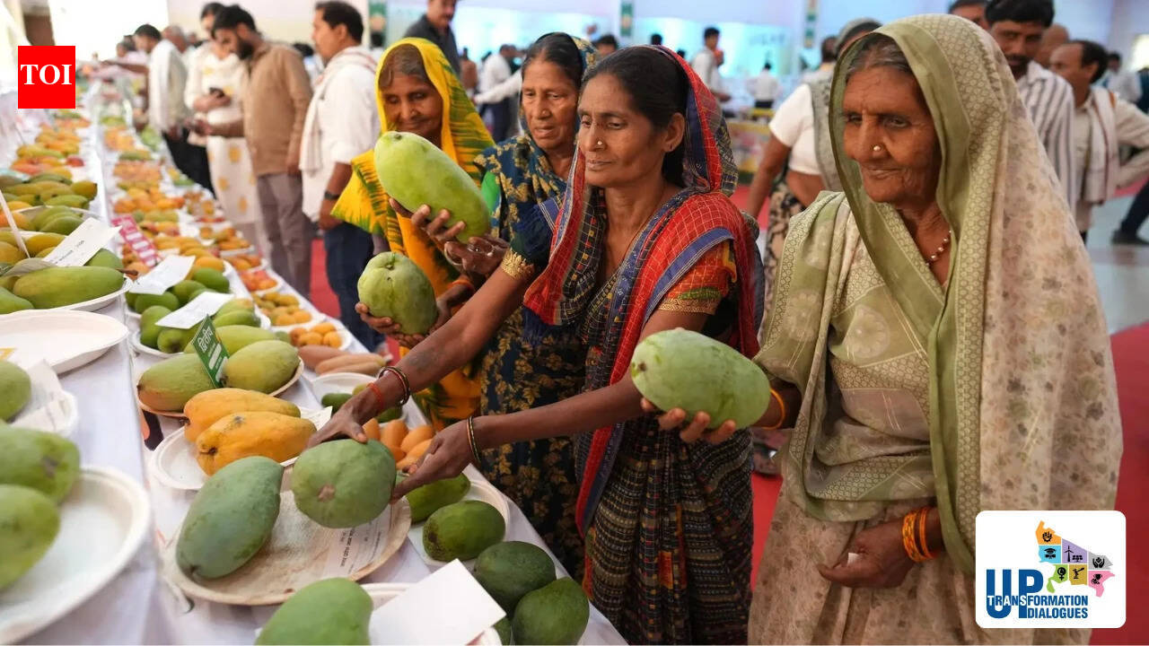 Food security in UP : Double engine govt delivers
