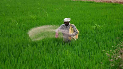 India's fertiliser game plan: Over 32 lakh tonnes imported in Q1; strengthened supply chain through overseas deals
